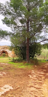 Opportunity in San Agustin – 72,000m² Land with Ruin and Sea Views
