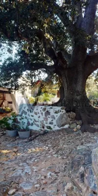 Casa de campo rústica con espectaculares vistas en venta en Sant Joan de Labritja – Ibiza