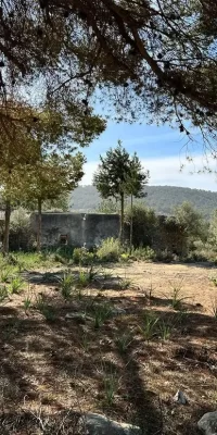 Secluded Authentic Finca on 136,000 m2 of Land in San Rafael Ibiza