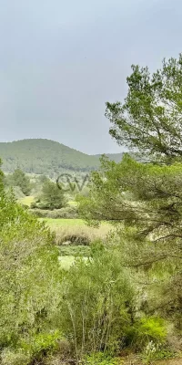 Exclusive Plot with License for sale in San Carlos  – Unparalleled Sea and Countryside Views