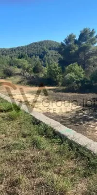 Hidden gem in San Josep – Rural land with license and spectacular views for sale