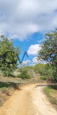 Prime Building Plot in Santa Gertrudis, Ibiza  for sale – An Exclusive Opportunity