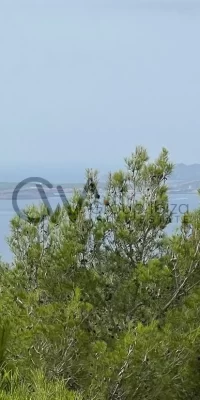 Spectacular plot with sea views in Can Germa with license