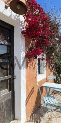 Unparalleled seclusion amidst untouched nature with guest house near Santa Gertrudis